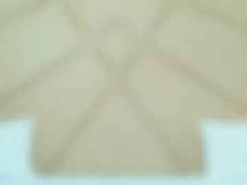 chloevee webcam preview