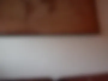 chris2021x webcam preview