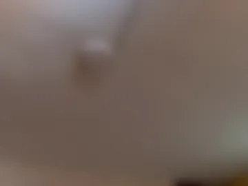 chris_reilly live webcam preview