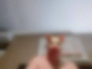 chrispainpig photo 5