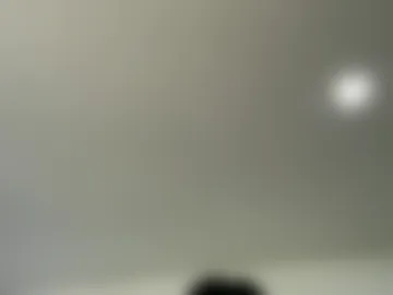 chronichalden live webcam preview