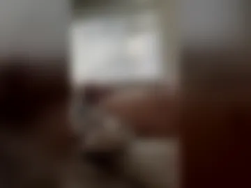 chunkisgreat photo 2