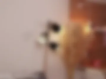 cirilada webcam preview