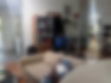 clarnbear live webcam preview