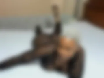 classyhornybabe photo 7
