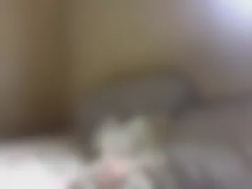 cock_neeed32 live webcam preview
