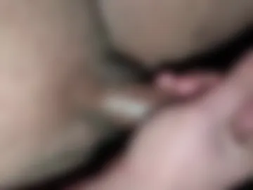 cockofpunjab photo 4