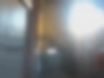coco151 webcam preview
