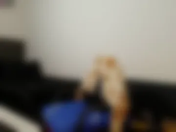 colinlatinbrown photo 9