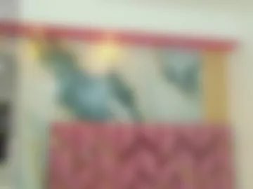 collegepawglovedaddy webcam preview