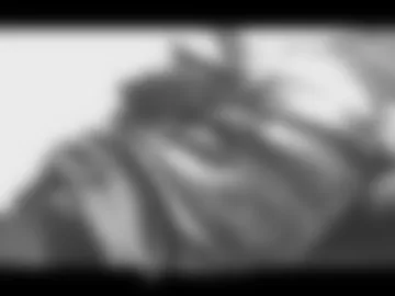 colonel18 photo 5