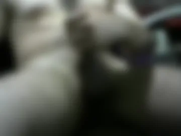 consule123 live webcam preview