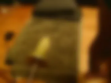 controlledburn photo 6