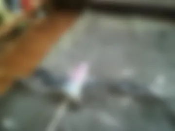 controlledburn photo 4