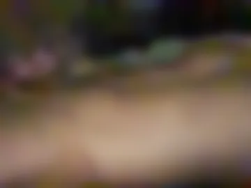 coq34 live webcam preview