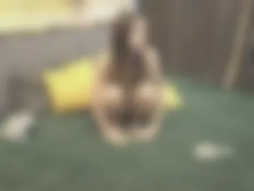 corycase webcam preview