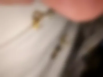 countdownsub live webcam preview