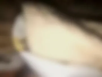 countdownsub photo 3