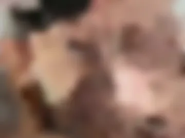 cubsterx live webcam preview