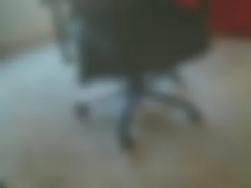 cuddlebeardeluxe photo 8