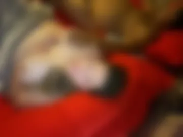 curvynurse69 live webcam preview