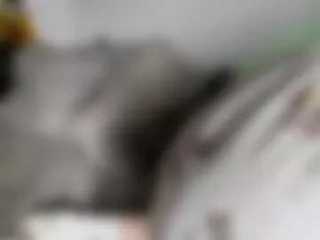 cutie_sensei webcam preview