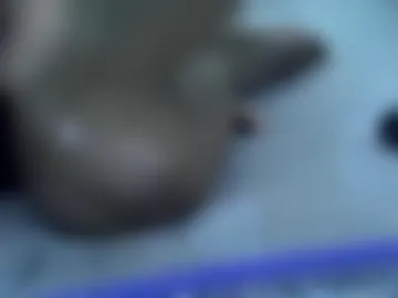 cutiehanish4 photo 7