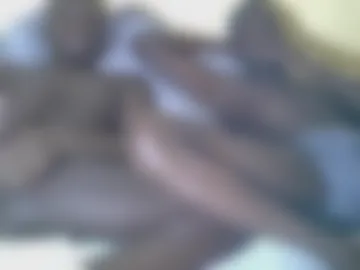 cutuncutshow webcam preview
