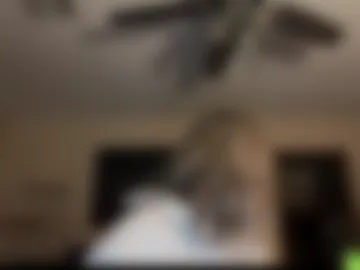 cxbraj webcam preview