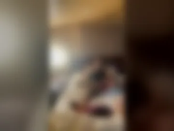 daddyb682 live webcam preview