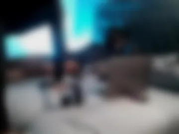 daddyownssissy live webcam preview