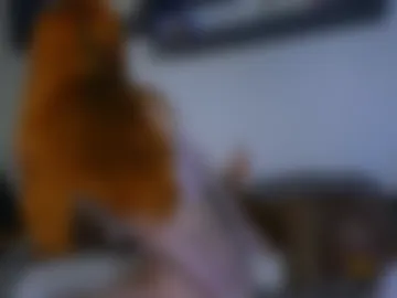 daddyslittleslutfox photo 2