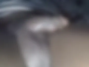dadyschlong webcam preview