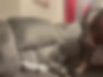 daedotfrankyloko649881 photo 3