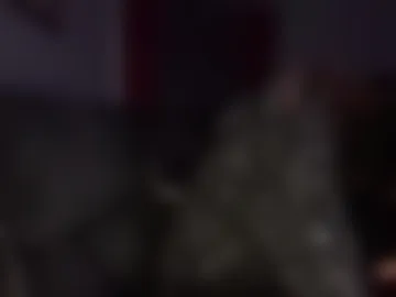 daedotfrankyloko649881 photo 2