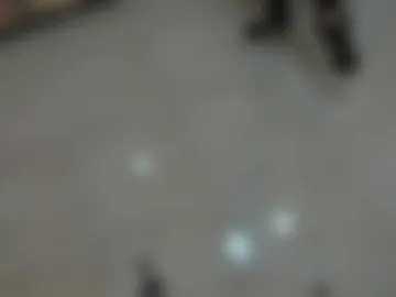 dafneswif live webcam preview