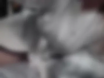 dairystation webcam preview