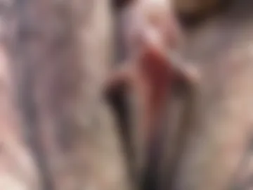 dakotaeee photo 2