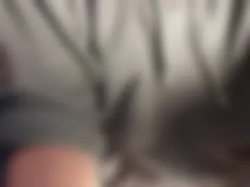 damian_21cm live webcam preview
