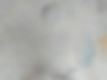 dani_ary webcam preview