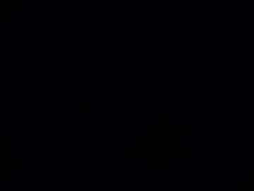 daniel6945tx live webcam preview