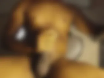 danielsins_ live webcam preview