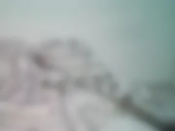danila86669572 webcam preview