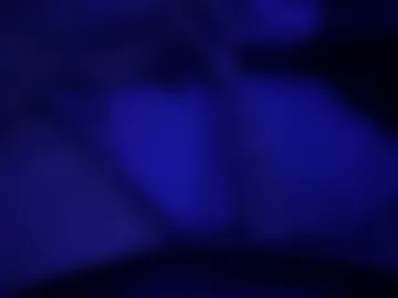 danny211122 live webcam preview