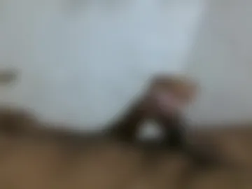 danny_69_69_69 live webcam preview