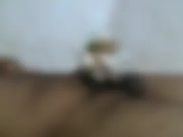 danny_69_69_69 live webcam preview