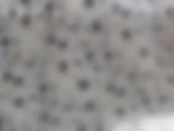 danyvdh live webcam preview