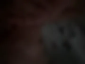 danzzzen live webcam preview
