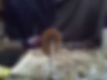 daqna1 photo 8