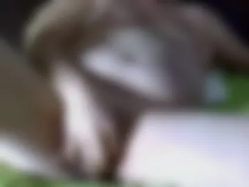 dave77a2200 live webcam preview